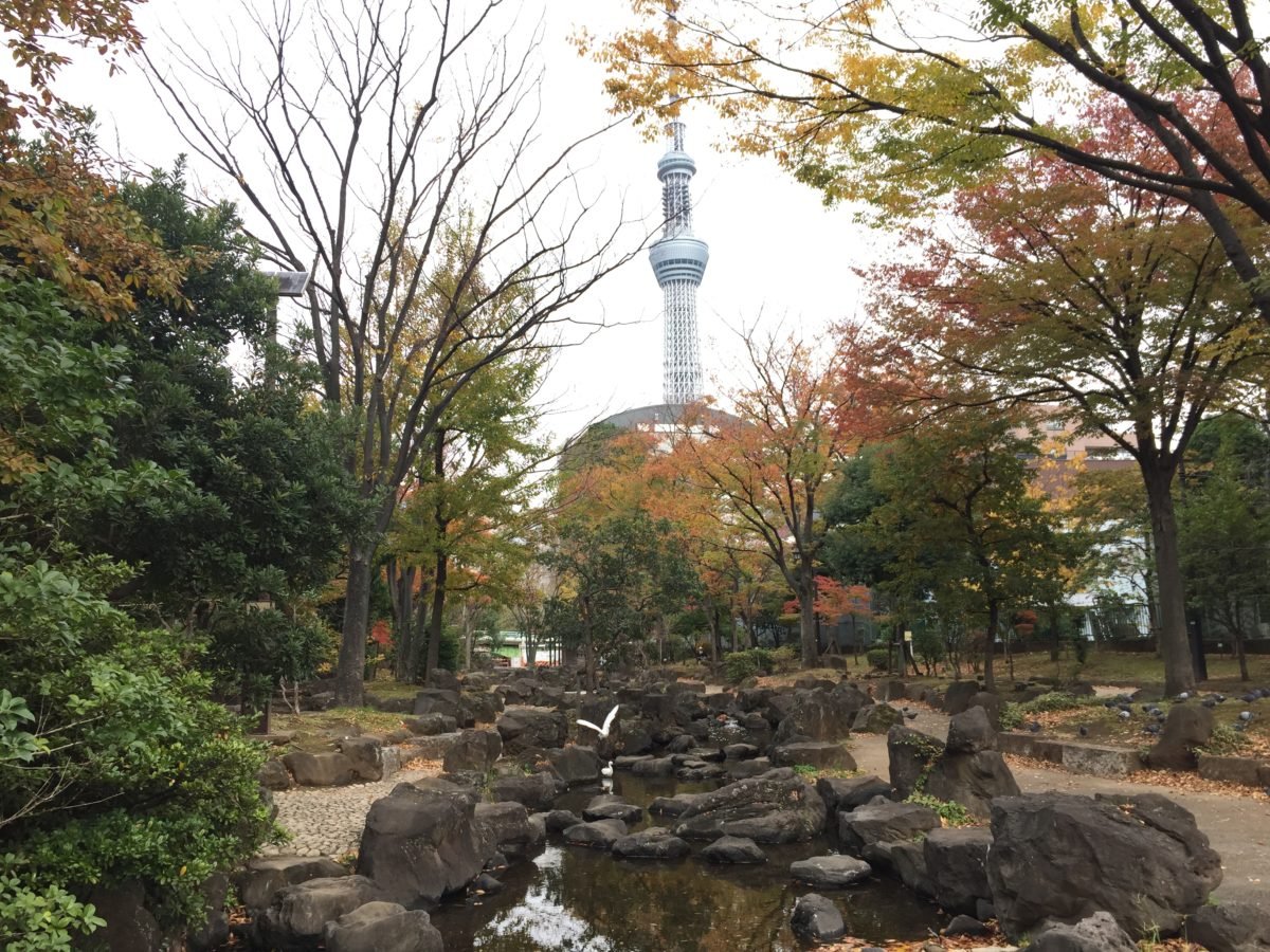🌳 오요코가와 친수공원(오요코가와 신스이코엔) 이미지 1